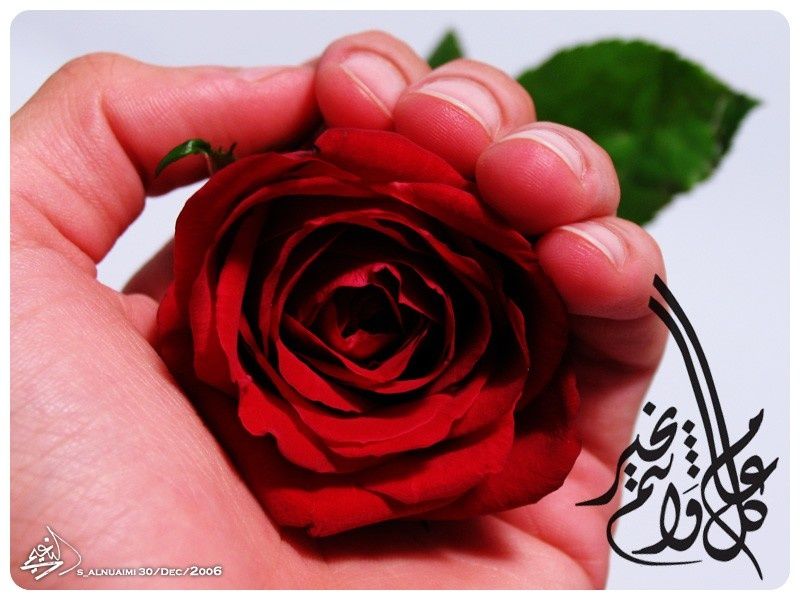 3eed_800x600_