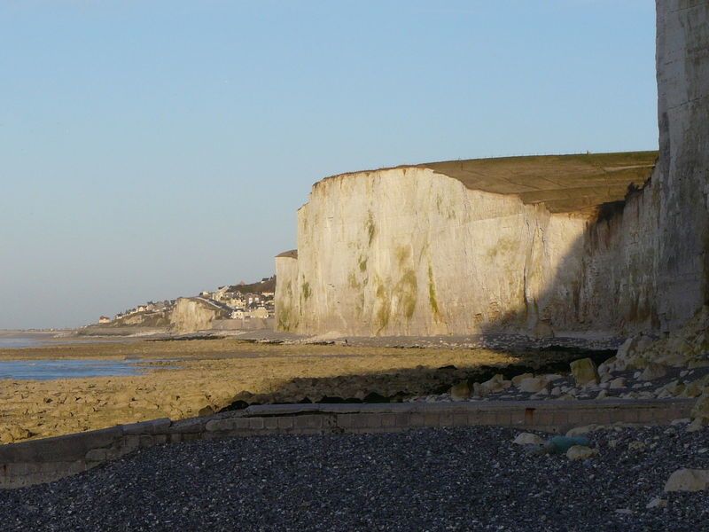 Bois_de_Cise__21_