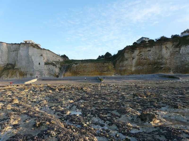 Bois_de_Cise__6_