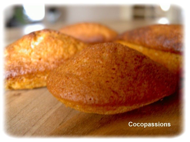 madeleines