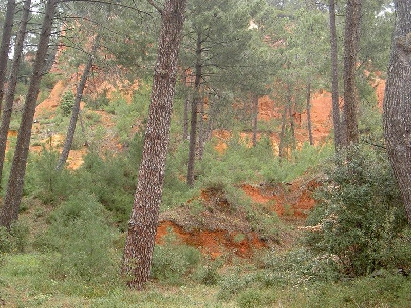Roussillon__2_