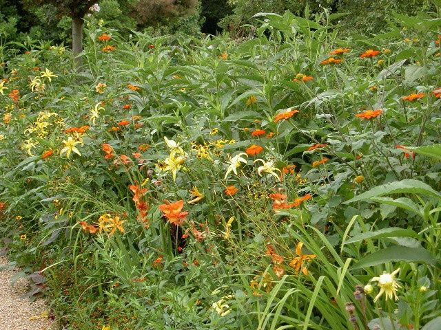 PICT0023