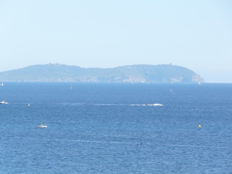 P1010460