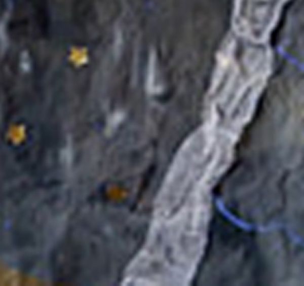 morceaufee-copie-1.jpg