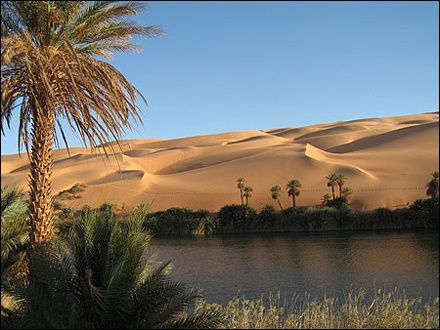 desert1.jpg