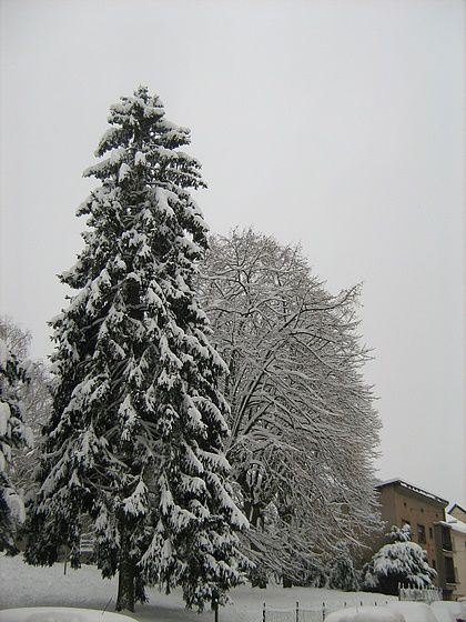 algrange neige 2010 012