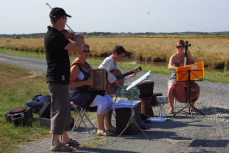 Pause musicale dans le marais