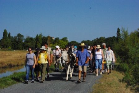 Rencontres d'aout lussas