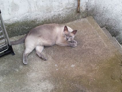 20140714_201738.jpg