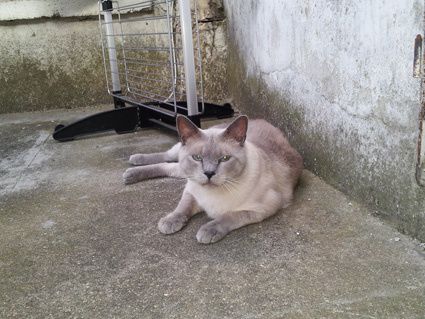 20140714_201758.jpg