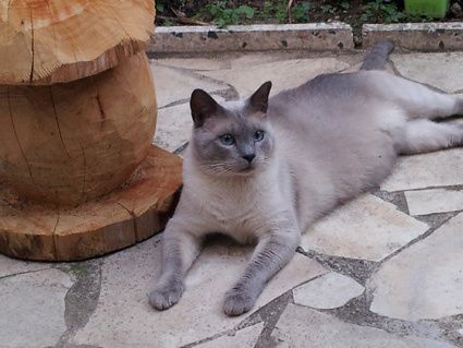20140714_203137-copie.jpg