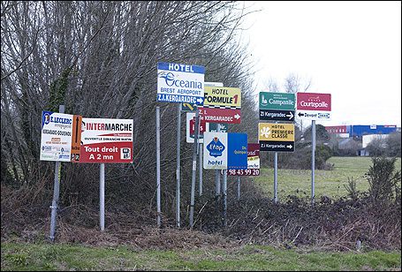 FranceMoche2.jpg