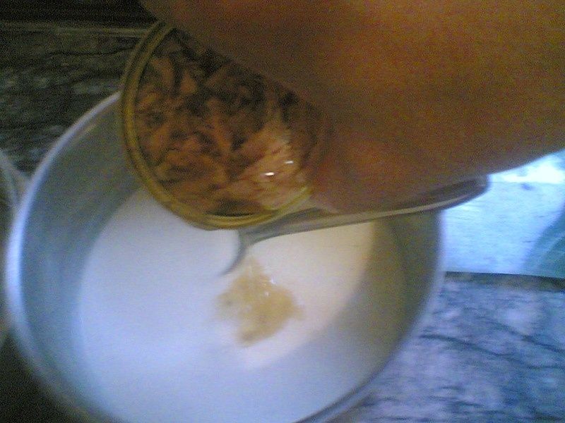 Gratin_de_courgette_thon3