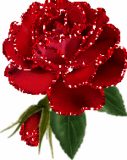 fleur2