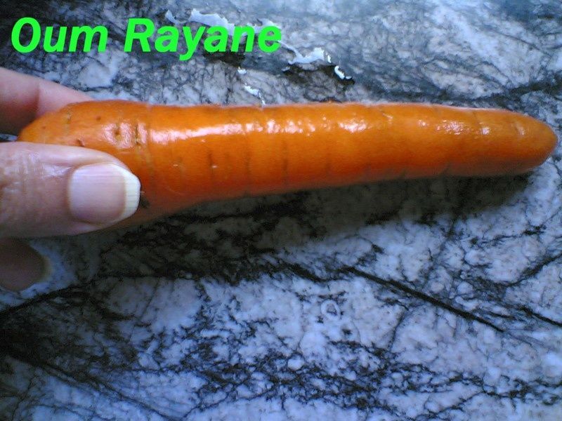 Carrotte4