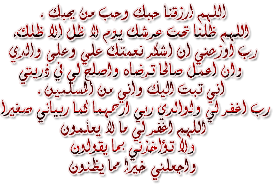 341_11183028343