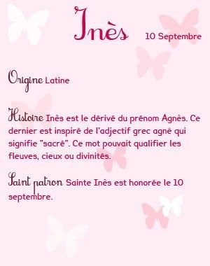 4_ines