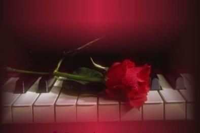 Résultat de recherche d'images pour "rose rouge posé sur un piano rouge"