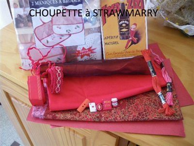 CHOUPETTE-a-STRAWMARRY-copie_tres_petite.jpg