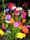 FLEURS-2.jpg