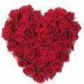 coeur3.jpg