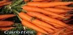 orange-4.jpg