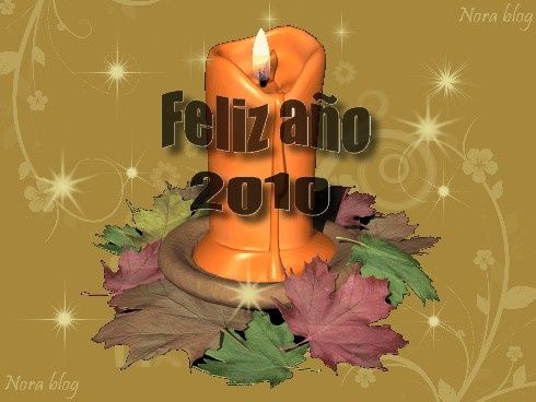 feliz-2010.jpg