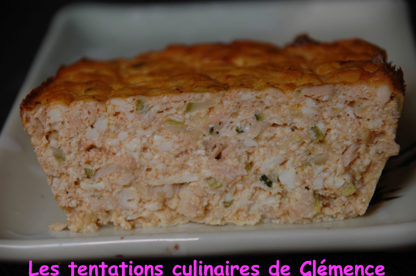 Terrine au tofu soyeux, saumon, curry rouge et courgettes Les