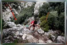 Grouped Image #1