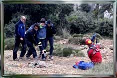 Grouped Image #12