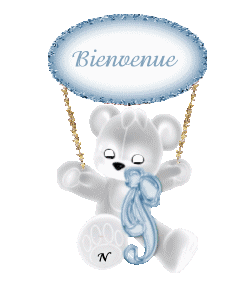 bienvenuefj1.gif