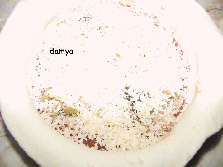 t_pizza2