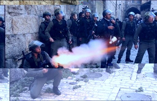 policiers-israeliens-sur-l-esplanade_9_2_2007.jpg