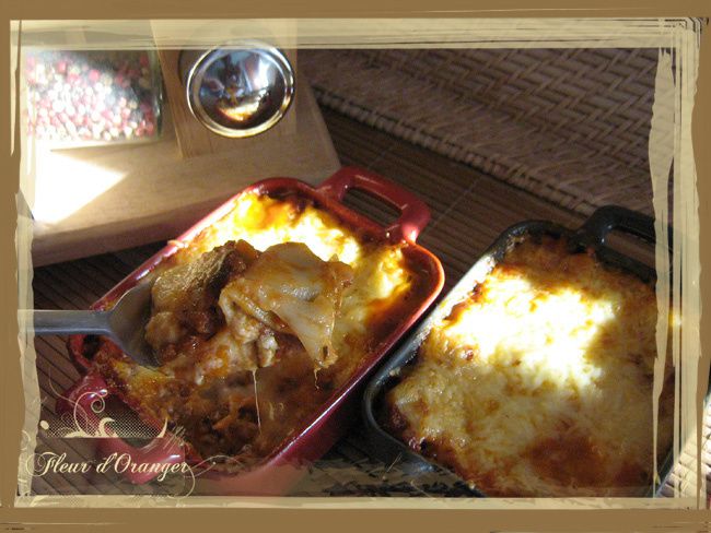 lasagne 7909 copie-copie-1