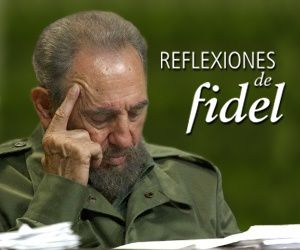 reflex_fidel2.jpg