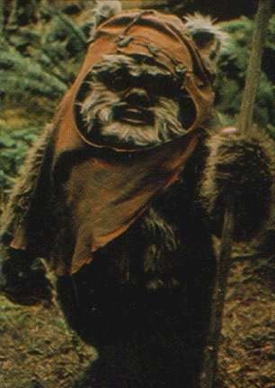 nounours star wars