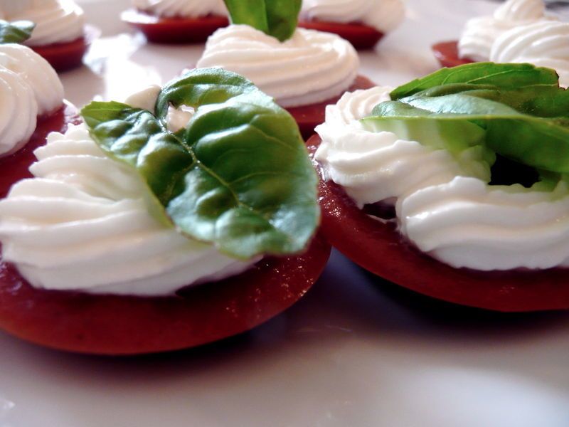 blog_tart_tom_1