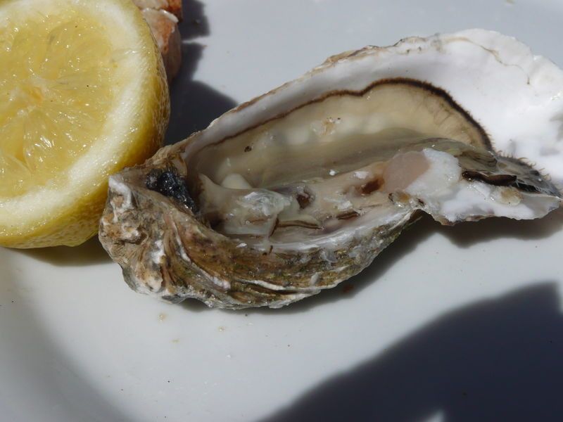 blog_huitre
