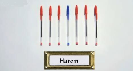 Harem.JPG