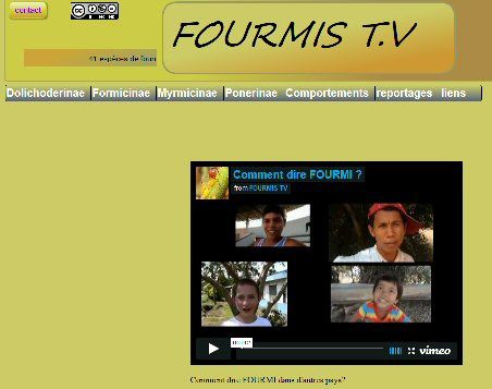 fourmis-TV.jpg
