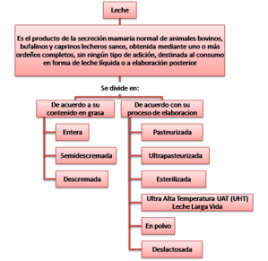 Decreto-616-de-2006.png