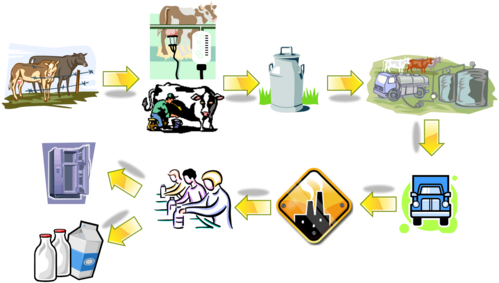 Proceso-leche-copia-1.png