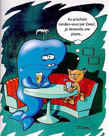 chat en RDV avec une baleine