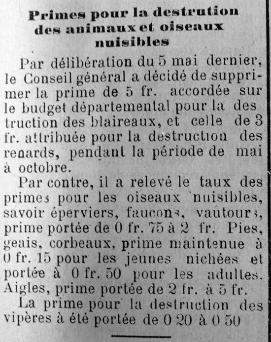 prime-animo-nuis