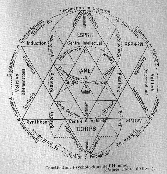 Papus-constit-psych-homm