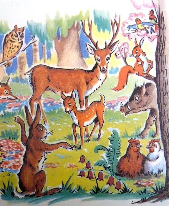 animaux-foret2