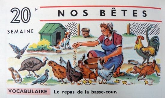 basse-cour