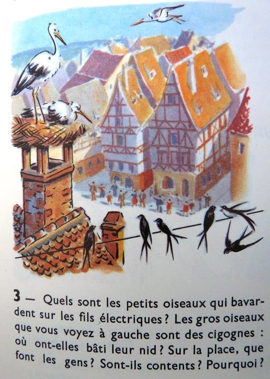 cigogne