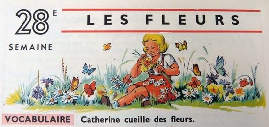fleurs