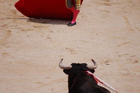 Afeitado